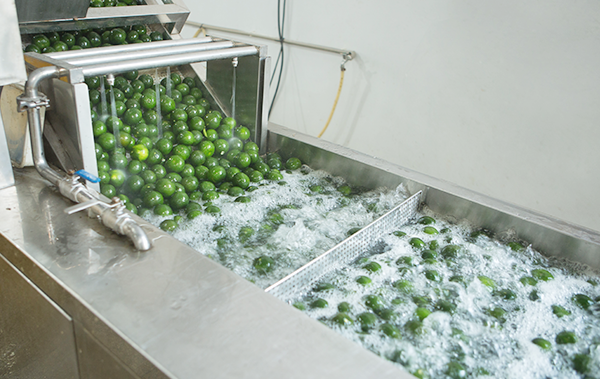 確保產品的品質和良好的服務 確保產品的品質和良好的服務