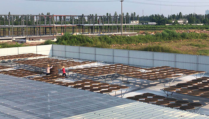 小黄片APP下载视频廠房 小黄片APP下载视频廠房