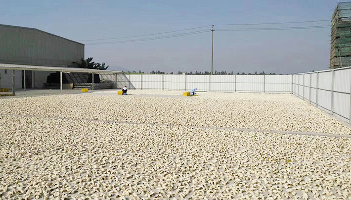 小黄片APP下载视频廠房 小黄片APP下载视频廠房